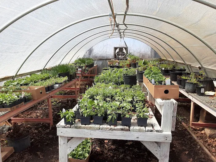 McCormick's Nursery & Garden Center Picture 1