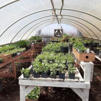 McCormick's Nursery & Garden Center ico