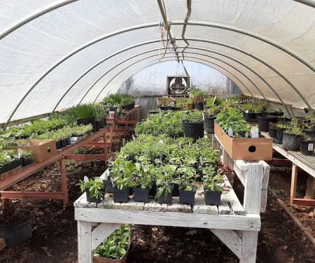 McCormick's Nursery & Garden Center