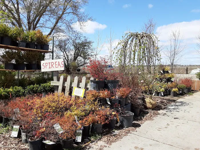 McCormick's Nursery & Garden Center Picture 6