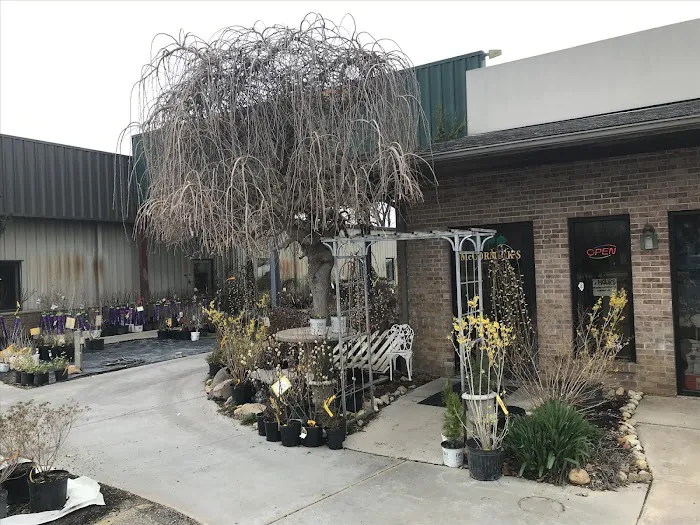 McCormick's Nursery & Garden Center Picture 9