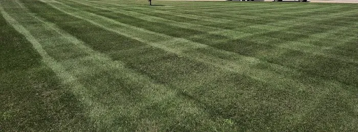 P & T Peppers Lawn Care Picture 9