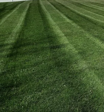 P & T Peppers Lawn Care Picture 7