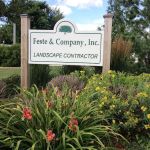 Feste & Co Inc
