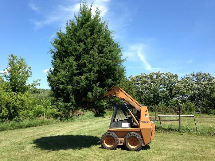 Jackson Landscape Services Picture 9