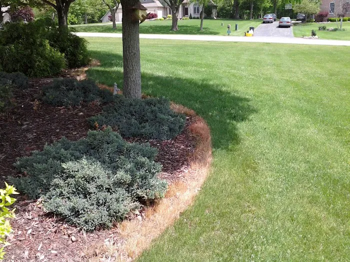 Jackson Landscape Services Picture 10