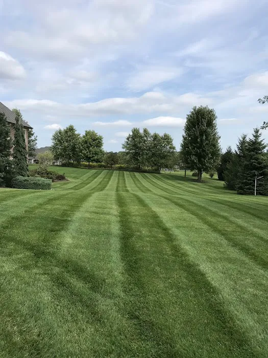 Flores Lawn Sprinklers & Landscaping Picture 6