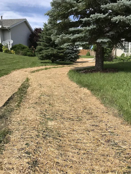 Flores Lawn Sprinklers & Landscaping Picture 3