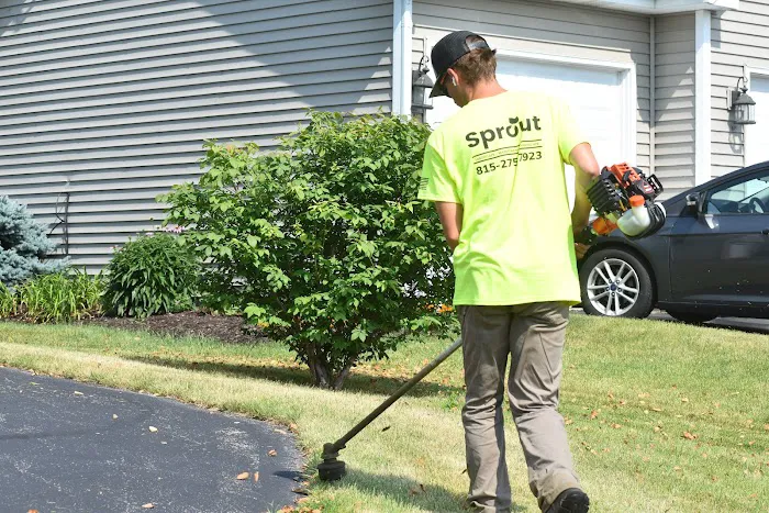 Sprout Outdoor Services Picture 2