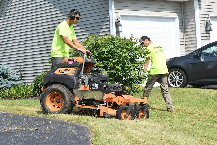 Sprout Outdoor Services Picture 6