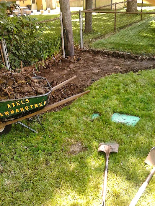 Axel's Professional Lawn & Tree care Picture 1