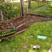 Axel's Professional Lawn & Tree care ico