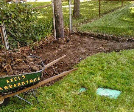 Axel's Professional Lawn & Tree care
