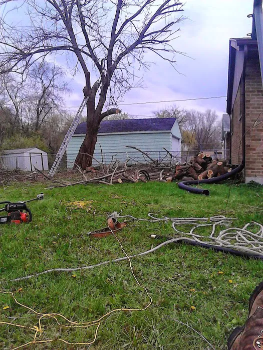 Axel's Professional Lawn & Tree care Picture 2