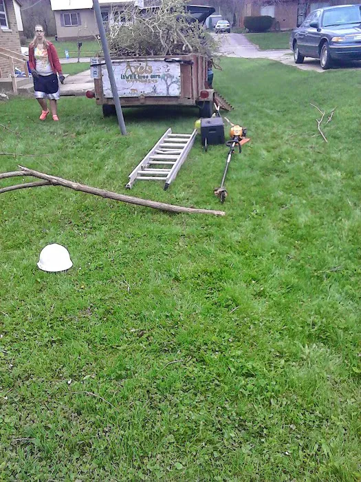 Axel's Professional Lawn & Tree care Picture 8