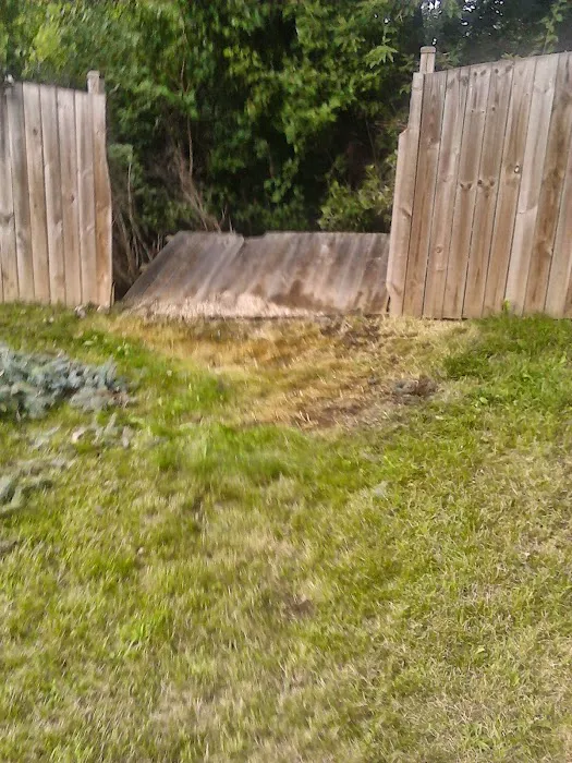 Axel's Professional Lawn & Tree care Picture 6