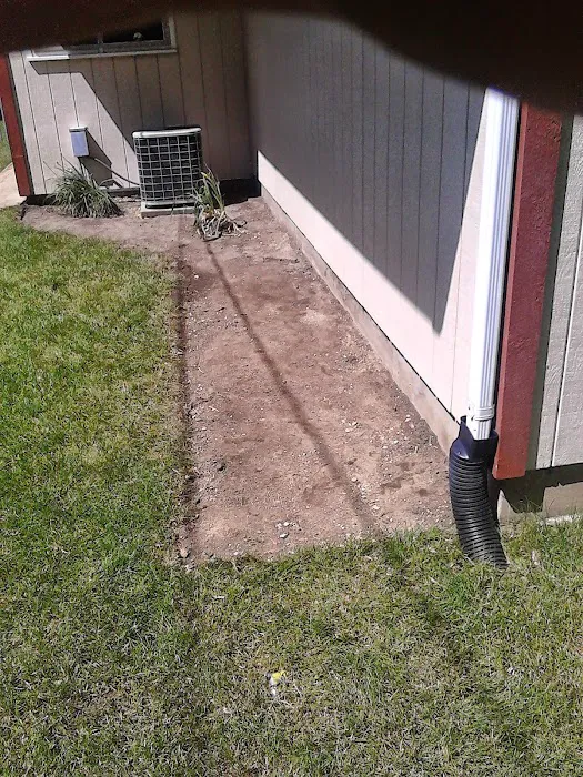 Axel's Professional Lawn & Tree care Picture 10