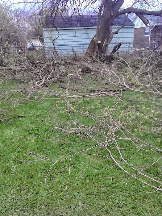 Axel's Professional Lawn & Tree care Picture 7