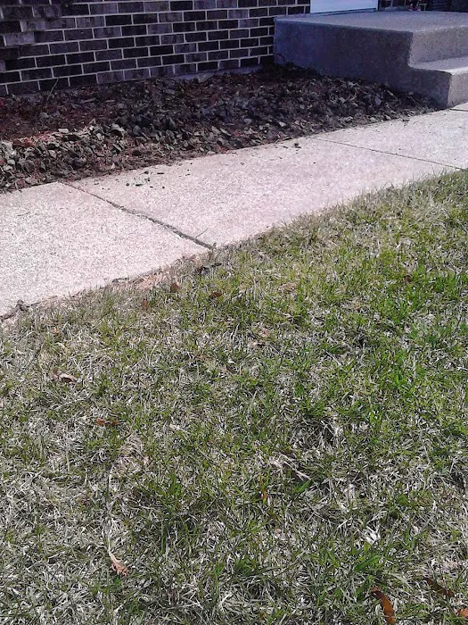 Axel's Professional Lawn & Tree care Picture 5