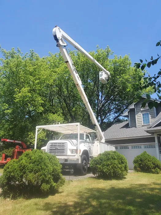 Woodchuck Tree Service Picture 1
