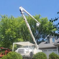 Woodchuck Tree Service ico