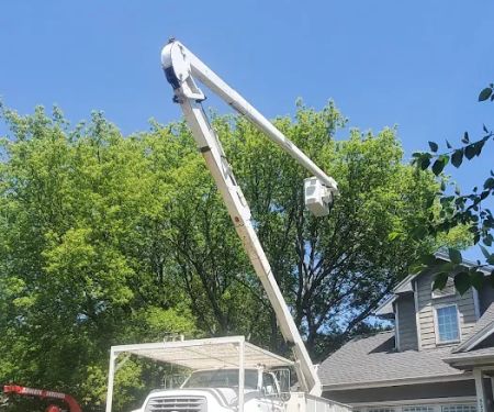 Woodchuck Tree Service