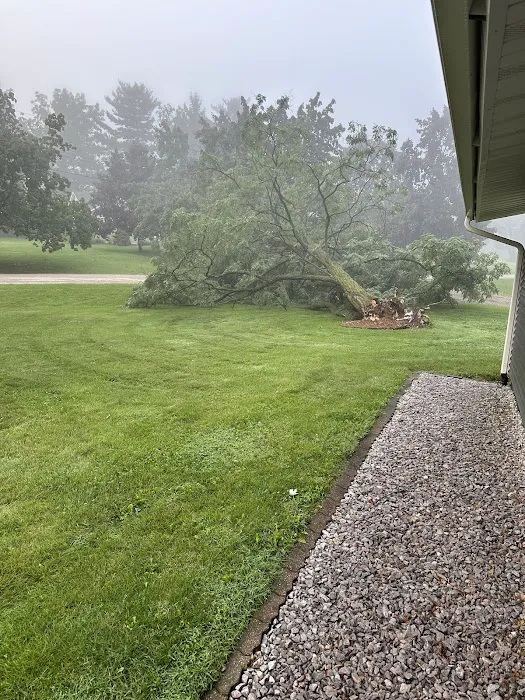 Woodchuck Tree Service Picture 10