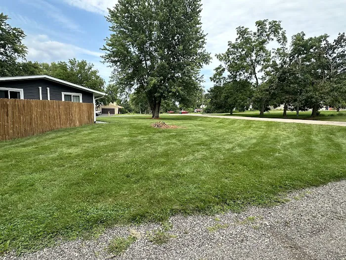 Woodchuck Tree Service Picture 9