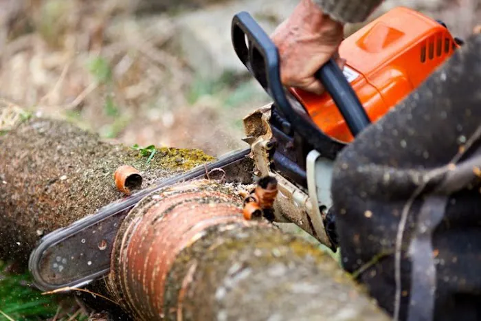 Woodchuck Tree Service Picture 7
