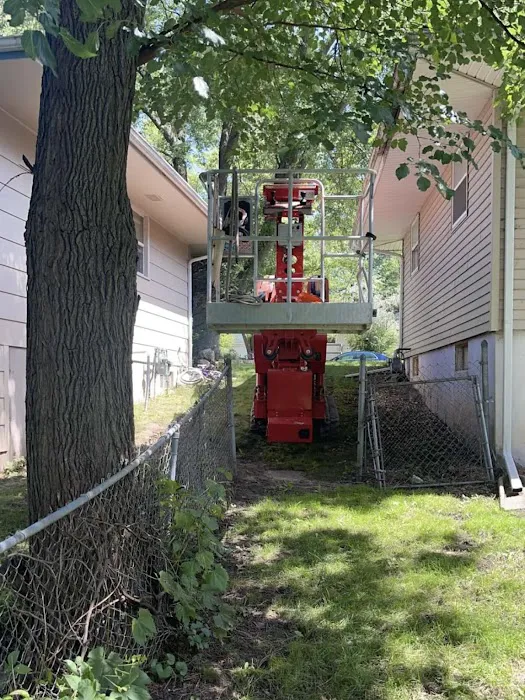 Woodchuck Tree Service Picture 8