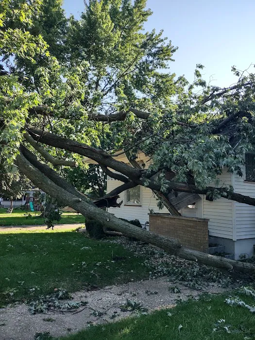 Blue Jay Lawn & Tree Service Picture 5