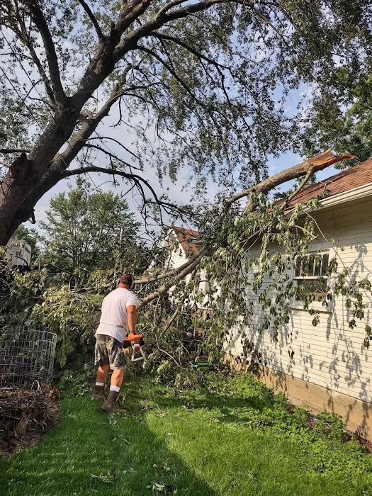 Blue Jay Lawn & Tree Service Picture 6