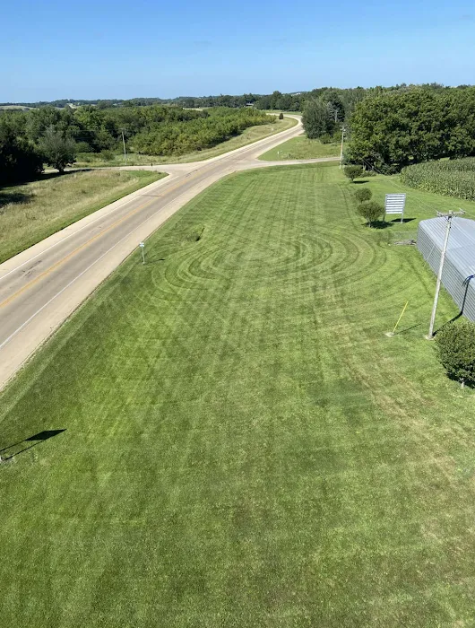 Blue Jay Lawn & Tree Service Picture 3