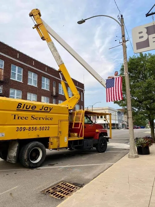 Blue Jay Lawn & Tree Service Picture 7