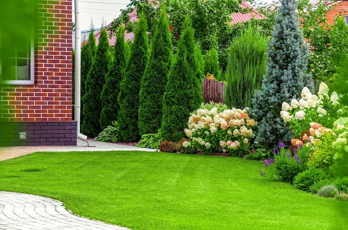 C & J Landscaping;LLC Picture 3