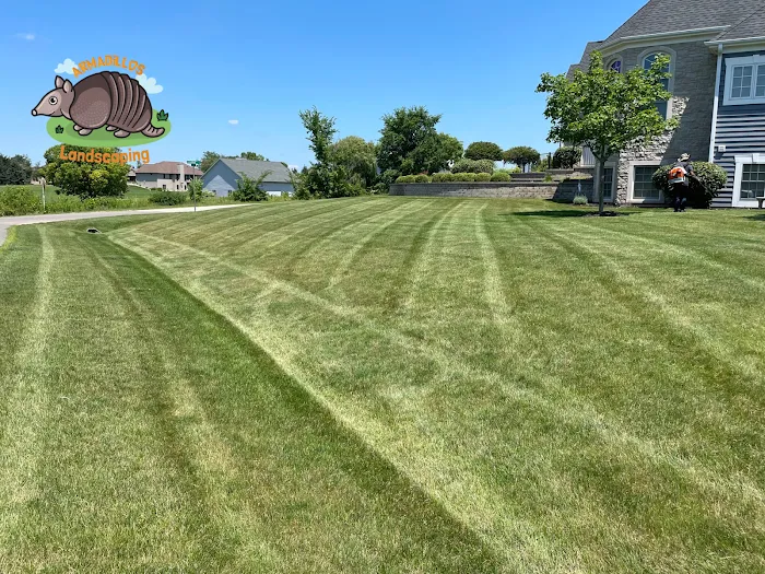 Armadillo’s landscaping LLC Picture 8