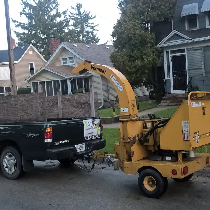 ALB Tree Services Picture 10