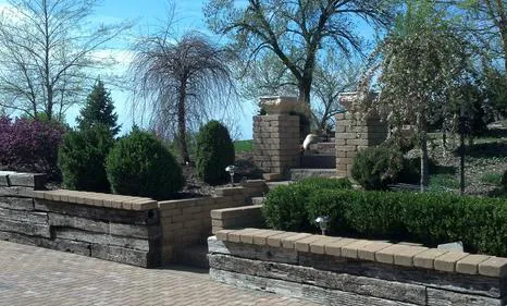 Briseno Lawn Care & Landscaping Picture 3