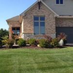 Briseno Lawn Care & Landscaping