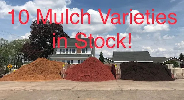 Dvorak Landscape Supply LLC Picture 6