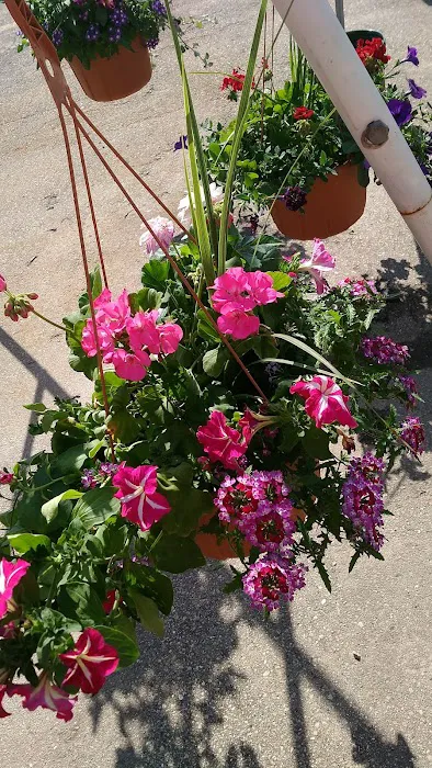 Dvorak Landscape Supply LLC Picture 8