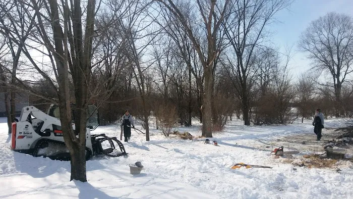 Bass Creek Landscaping and Tree Service Picture 5