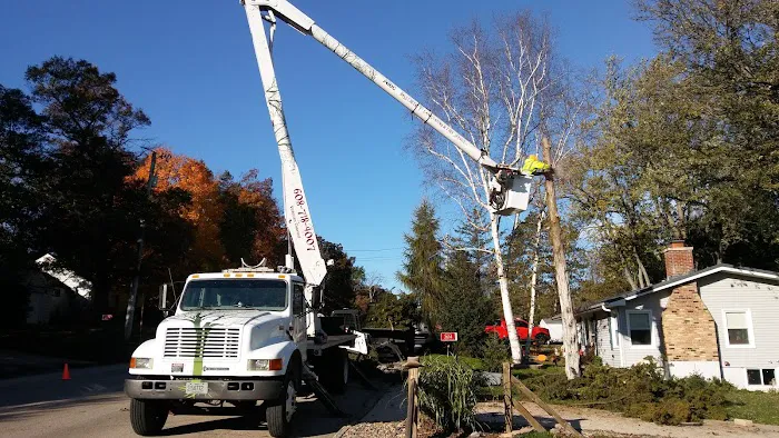 Bass Creek Landscaping and Tree Service Picture 7