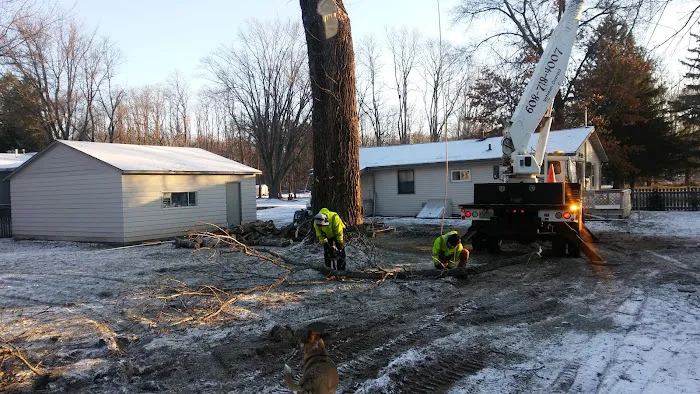 Bass Creek Landscaping and Tree Service Picture 6