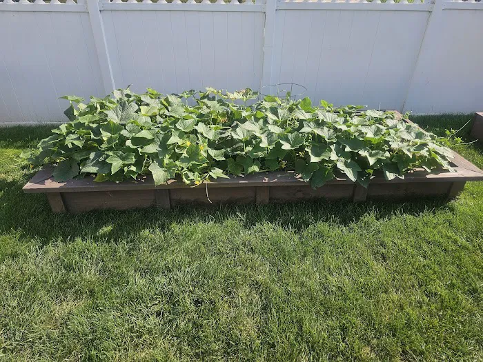 Premier Landscape Products, LLC Picture 6
