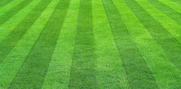 Premier Landscape Products, LLC Picture 9