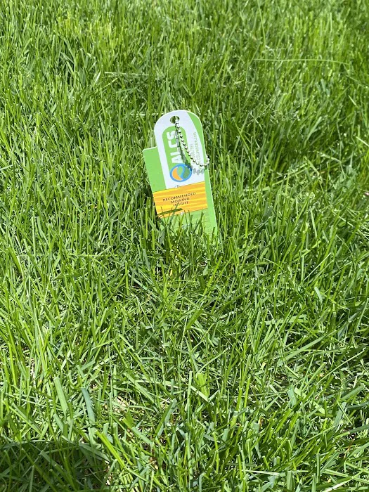 ALCS Lawn Care Picture 2