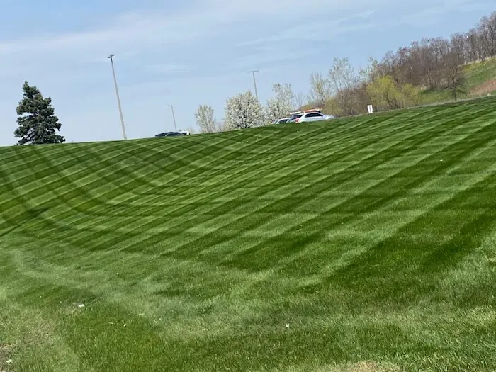 ALCS Lawn Care Picture 4