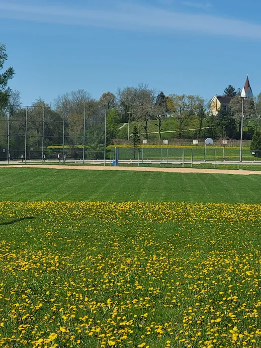 ALCS Lawn Care Picture 10