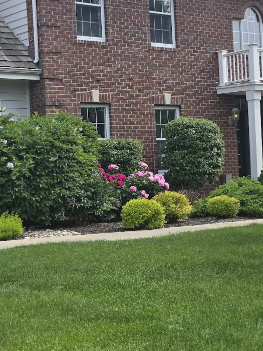 ALCS Lawn Care Picture 5